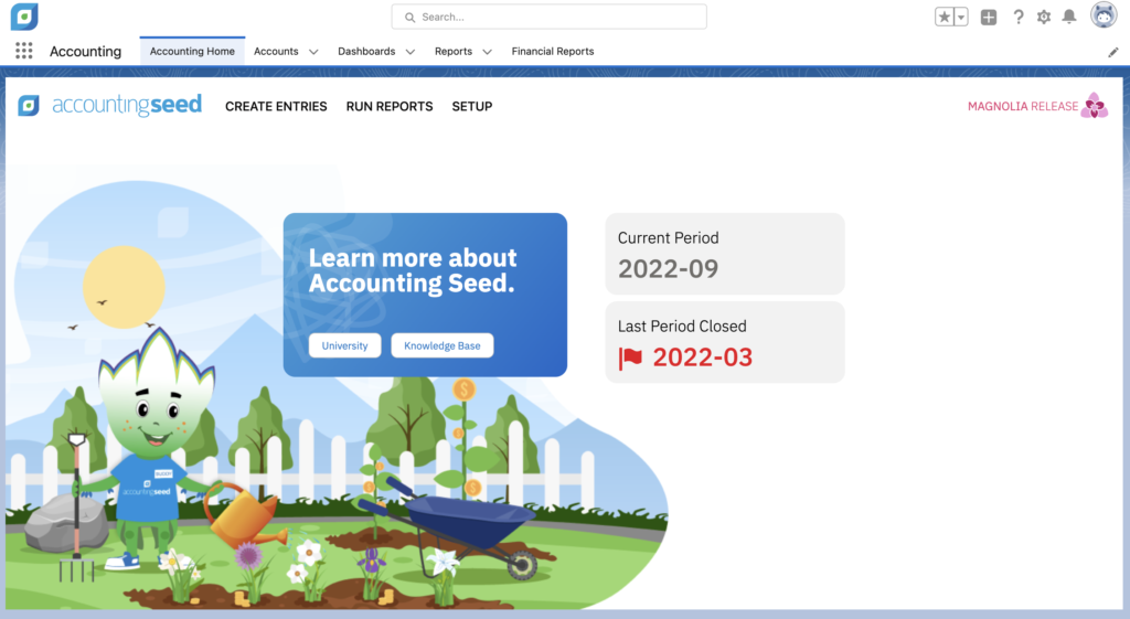 Is Accounting Seed a Good Software?