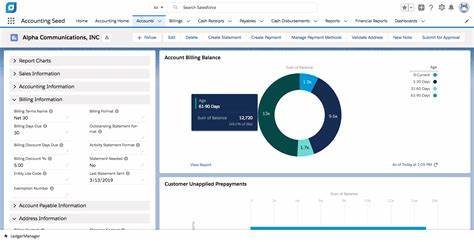 Is Accounting Seed a Good Software?