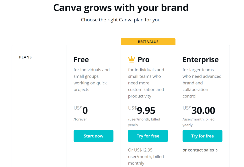 What Is Canva Software Used For?